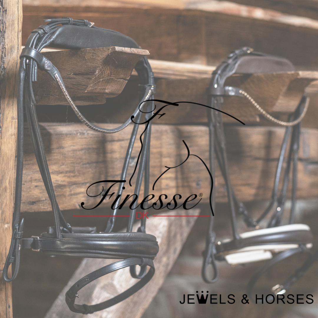 Bridles