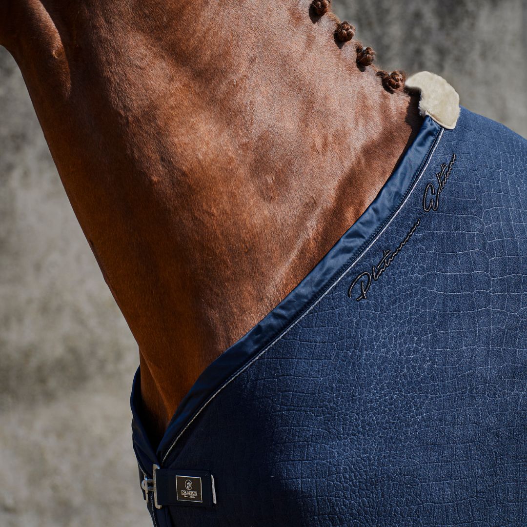 Eskadron Platinum - Navy