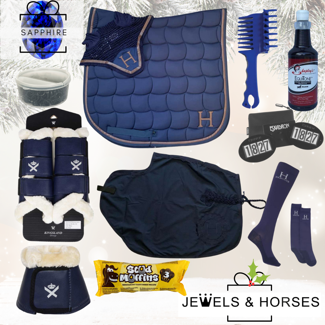 Christmas Gift Box 7 - Navy Pony - Sapphire