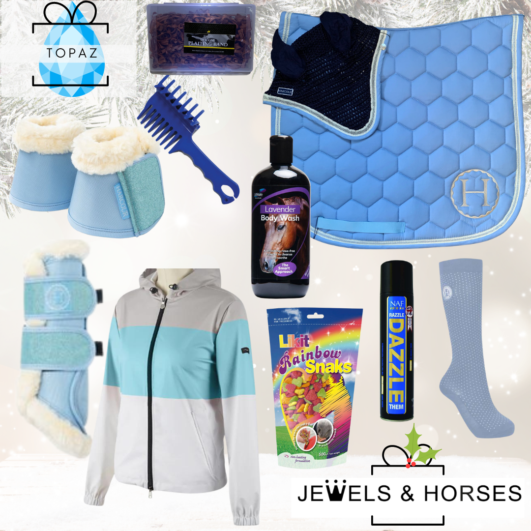 Christmas Gift Box 1 - Harcour Blue Jump - Topaz