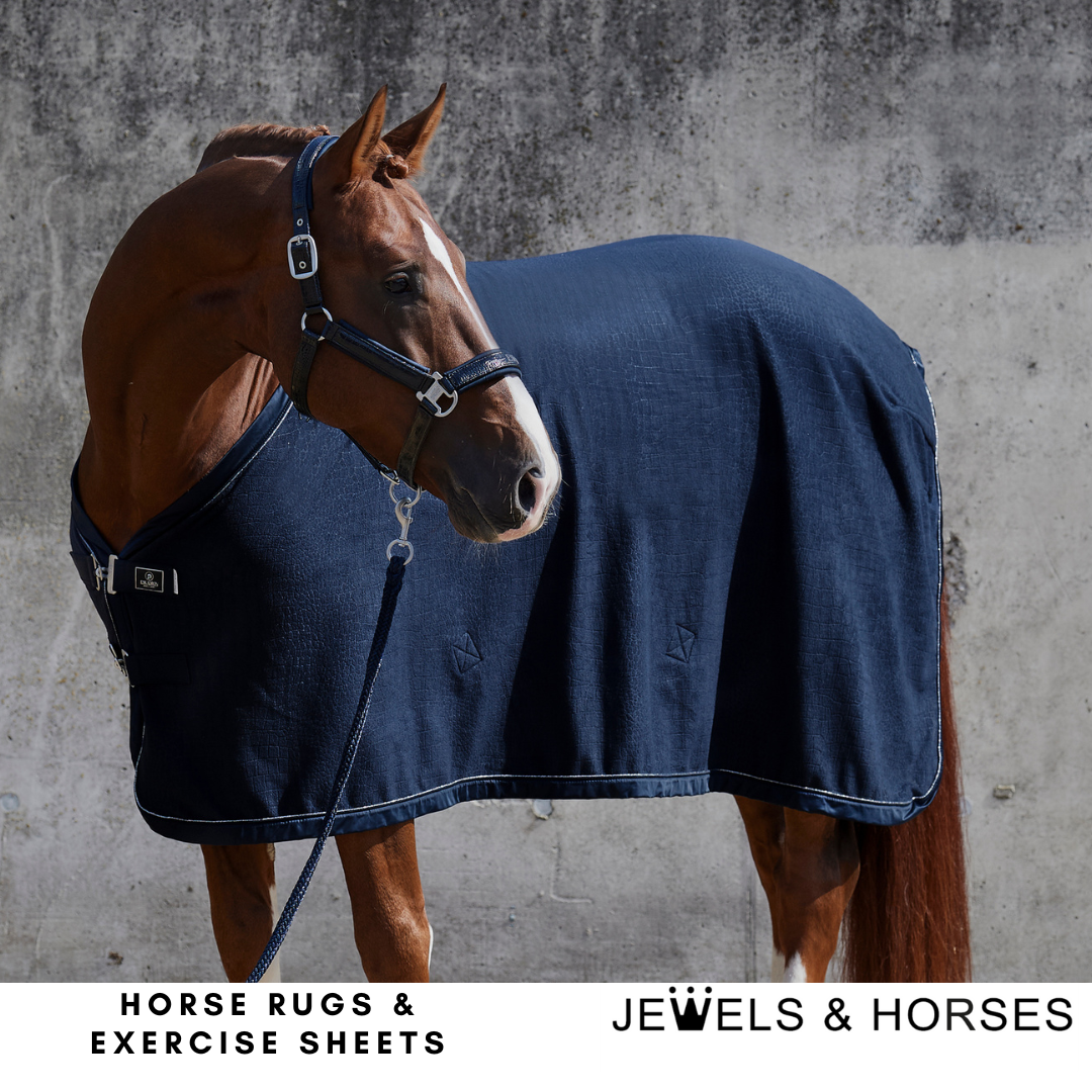 Horse Rugs & Exercise Sheets