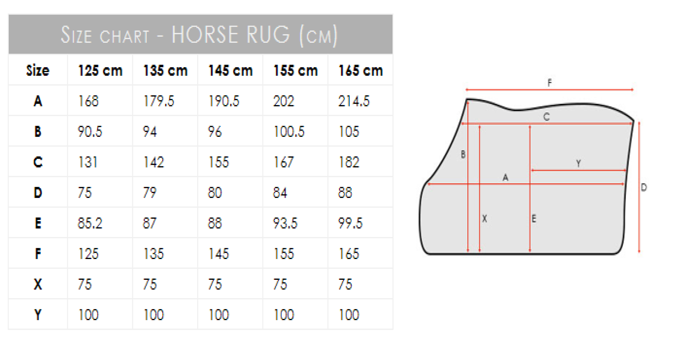 Harcour Berry Horse Exercise Blanket Winter 20 - Jewels and Horses Boutique