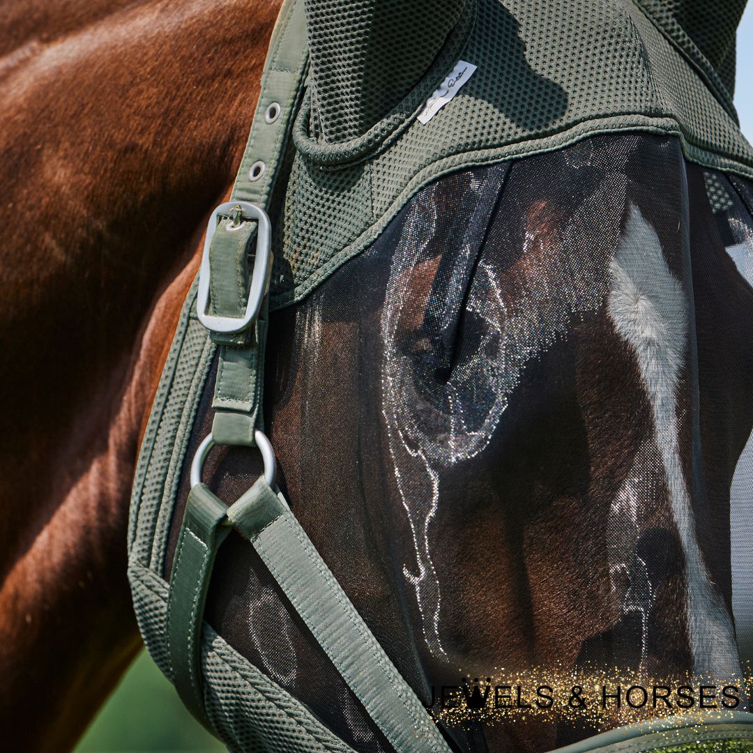 Horse Fly Veils and solutions for alleviating fly irritation in horses