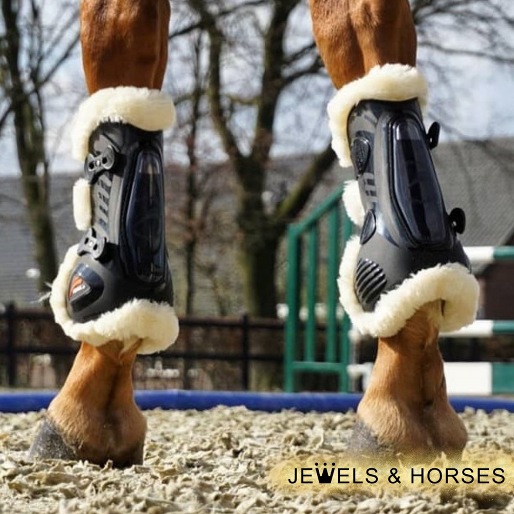 What horse boots does your horse need? Jewels and Horses Boutique