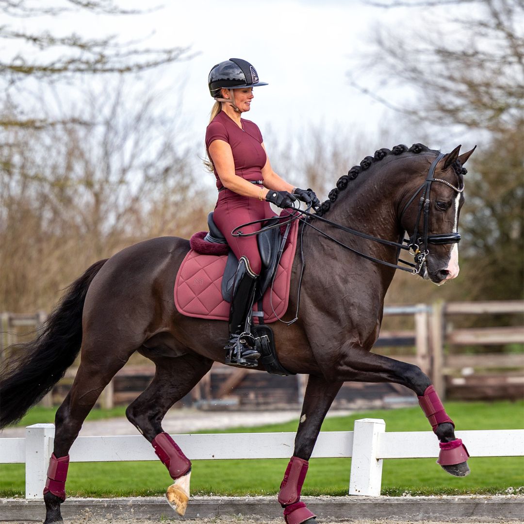Maximillian Equestrian