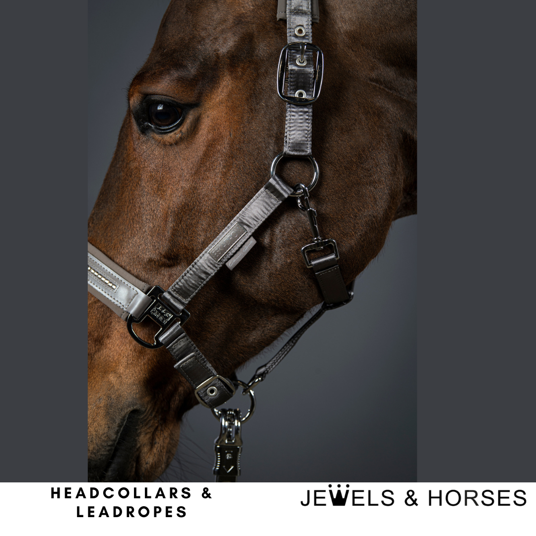 horse headcollars and leadropes