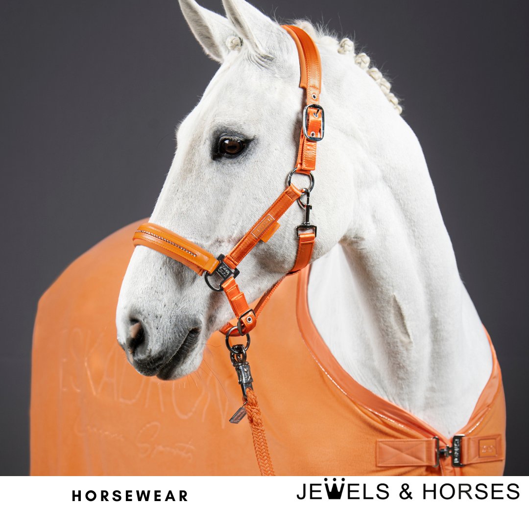 Horse wear