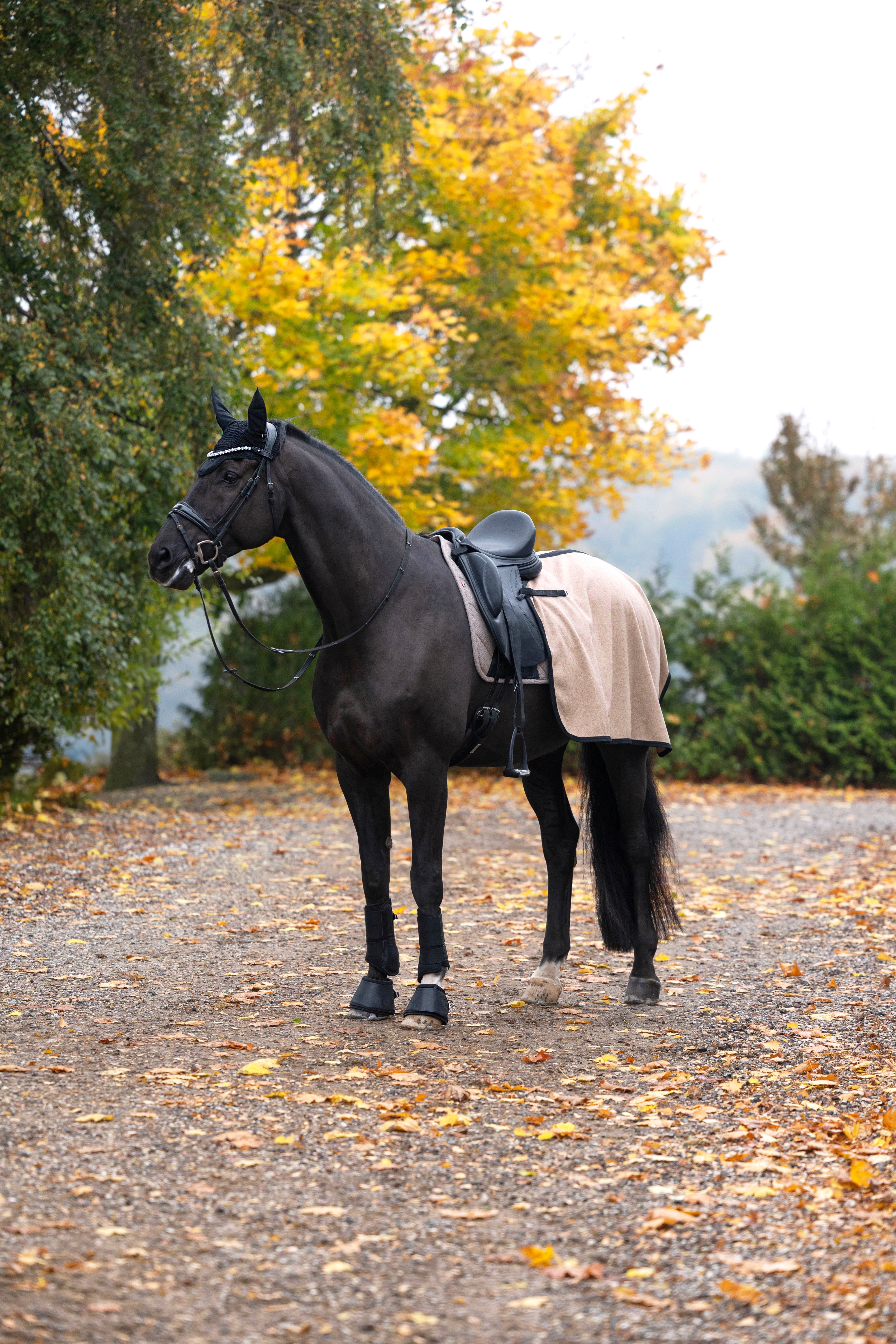 Kingsland KLAudrey Woolmix Exercise Rug - Brown Iron