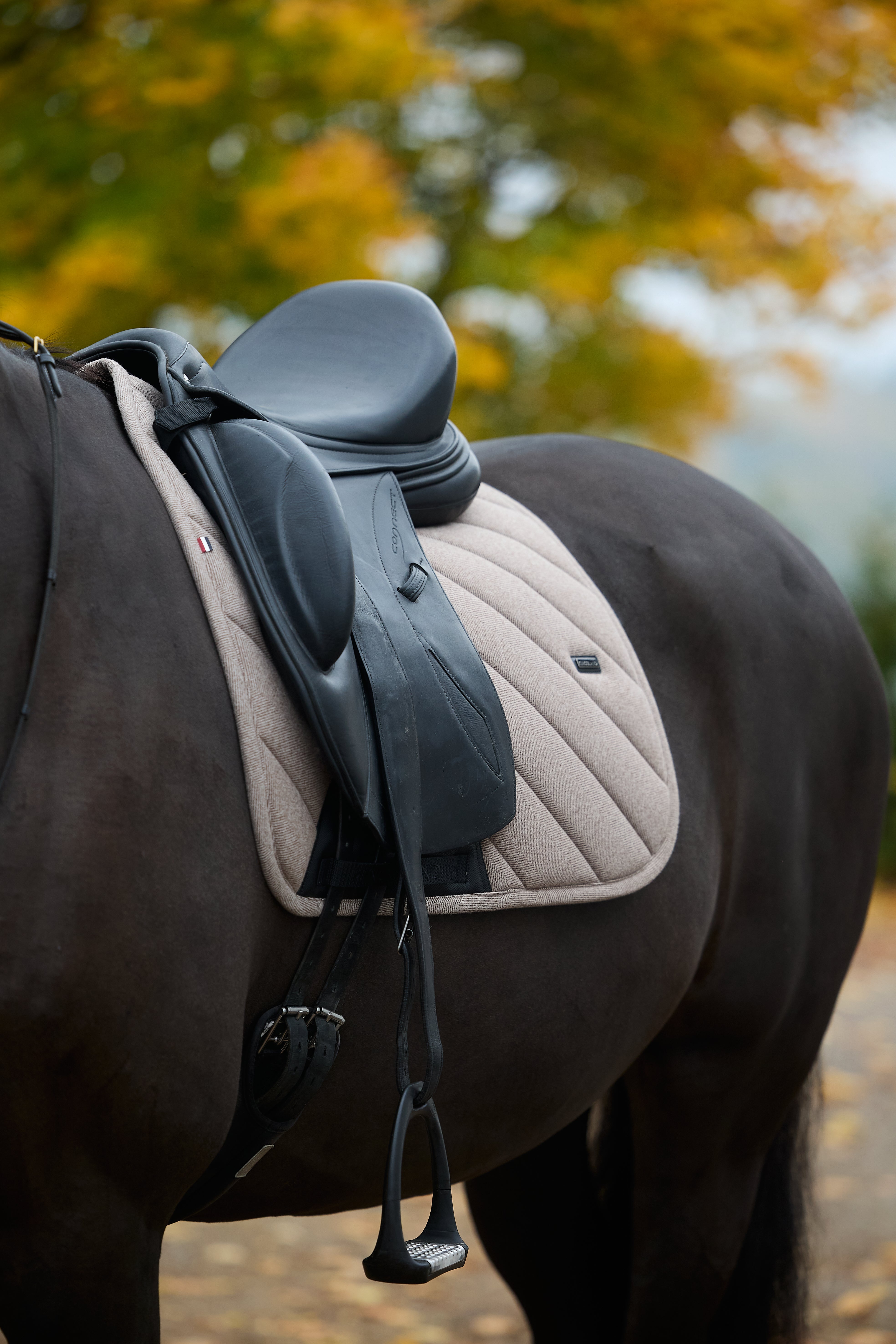 Kingsland KLAudrey Saddlepad - Brown Iron