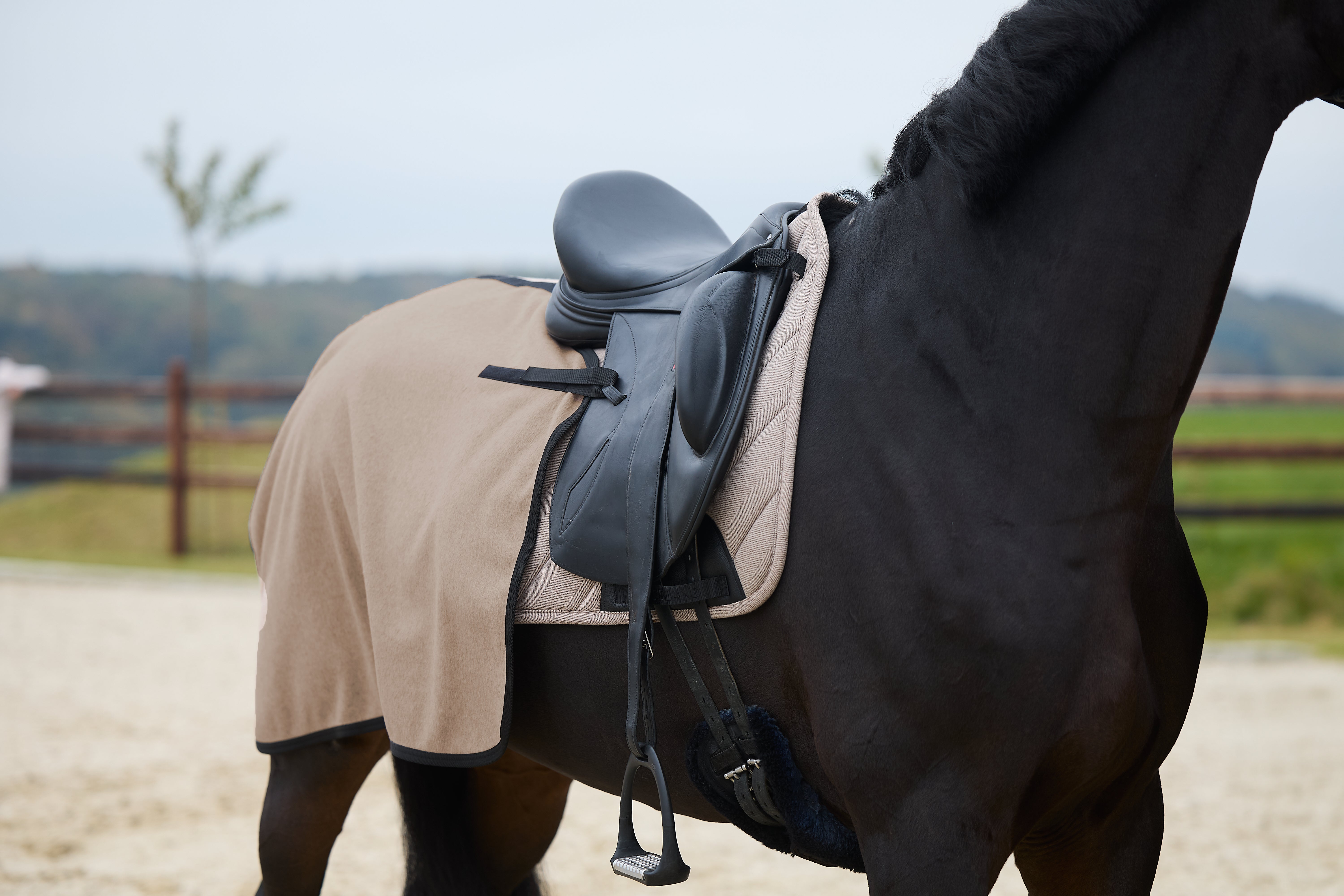 Kingsland KLAudrey Woolmix Exercise Rug - Brown Iron