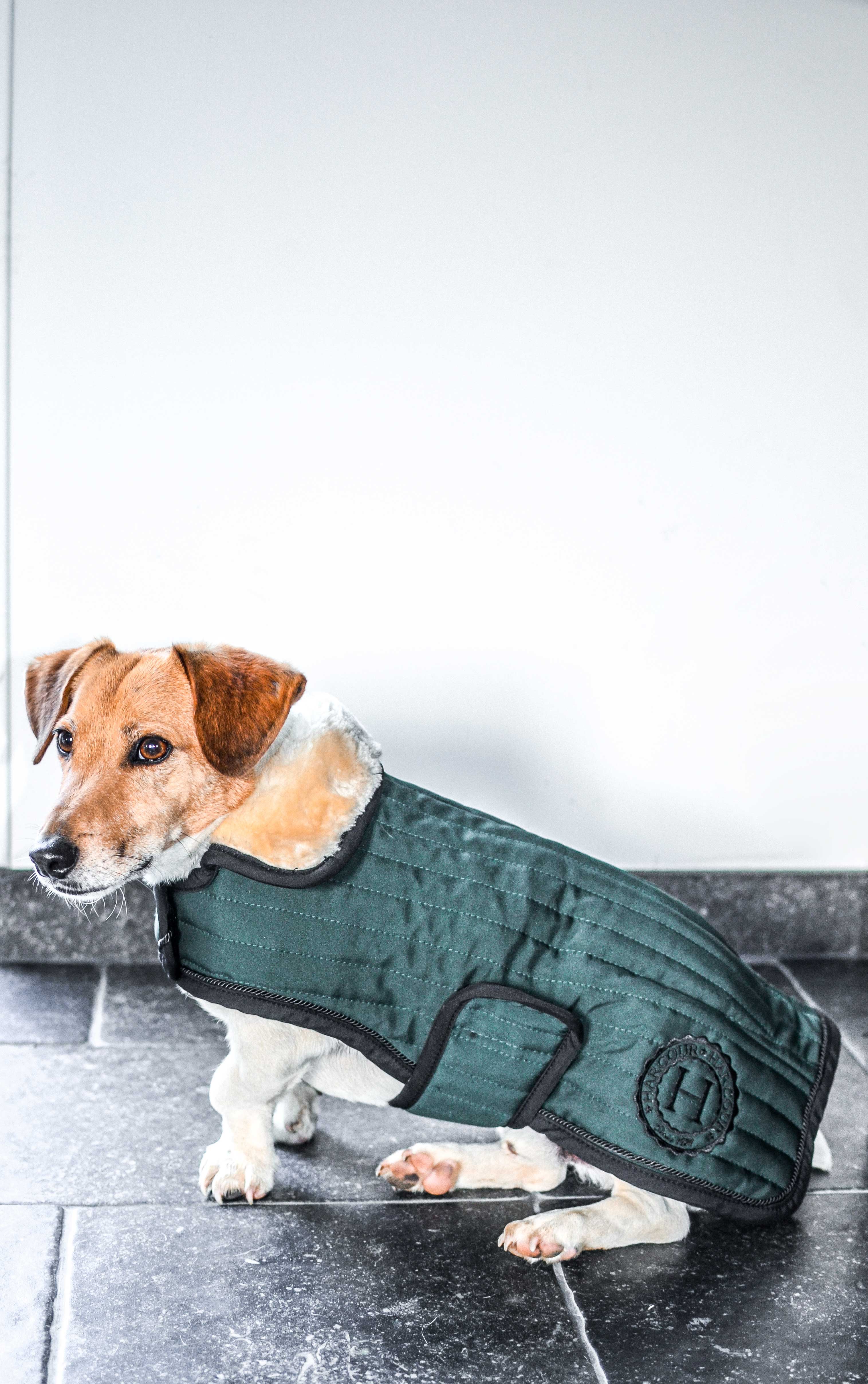 Harcour Code Dog coat - Jungle Green - Jewels and Horses Boutique