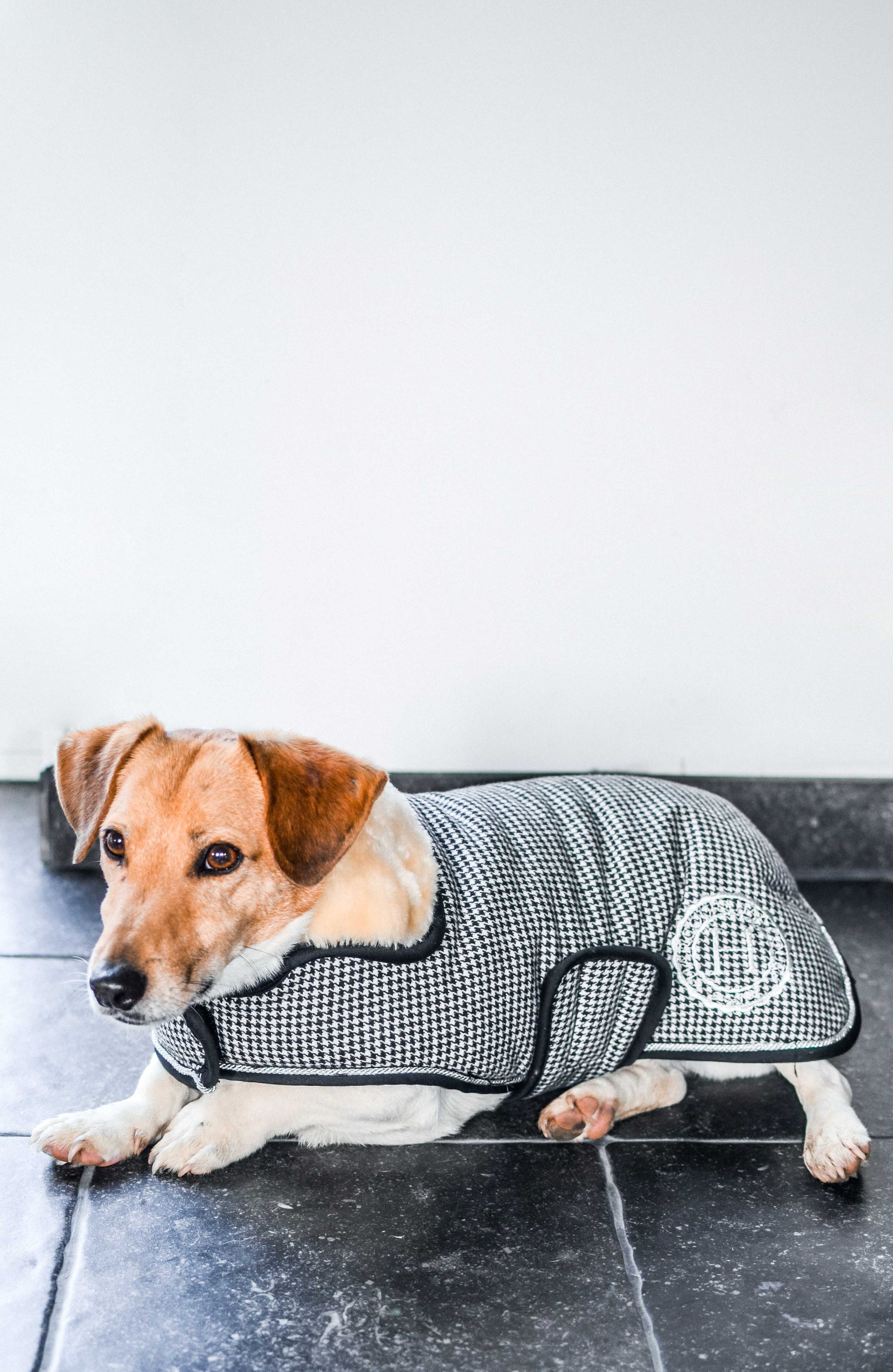 Harcour Code Dog coat - Houndstooth - Jewels and Horses Boutique